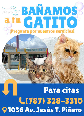 "Nautilus Pets Cat Grooming Ad"