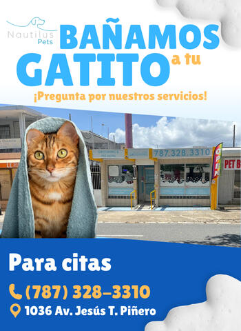 "Nautilus Pets Cat Grooming Ad"